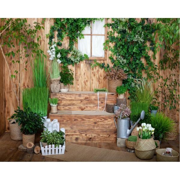 party decoration lush grass flower plants backdrop baby shower room decor po booth studio prop
party decoration lush grass flower plants backdrop baby shower room decor po booth studio prop