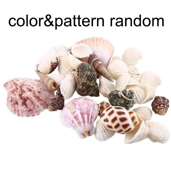 decorations 100g mixed beach nautical shells aquarium fish tank decoration bulk seashell
decorations 100g mixed beach nautical shells aquarium fish tank decoration bulk seashell