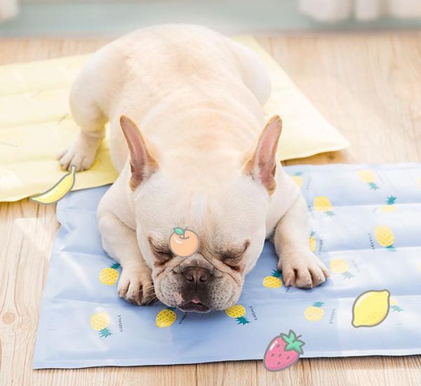 mylb summer pet cooling mat ice silk moisture-proof dog cooler cool mattress cushion puppy cat kitten sleeping keep kennels & pens
mylb summer pet cooling mat ice silk moisture-proof dog cooler cool mattress cushion puppy cat kitten sleeping keep kennels & pens