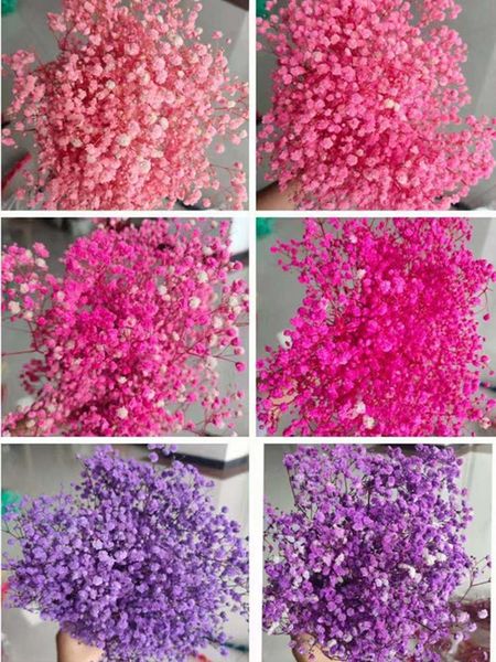 decorative flowers & wreaths natural dried gypsophila preserved baby's bouquet babysbreath gedroogde wedding christmas home decoration
decorative flowers & wreaths natural dried gypsophila preserved baby's bouquet babysbreath gedroogde wedding christmas home decoration
