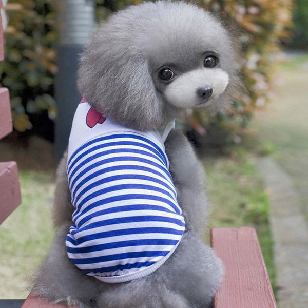 dog apparel pet clothes cartoon summer lovely vest clothing for cats dogs coat jackets cotton xs
dog apparel pet clothes cartoon summer lovely vest clothing for cats dogs coat jackets cotton xs