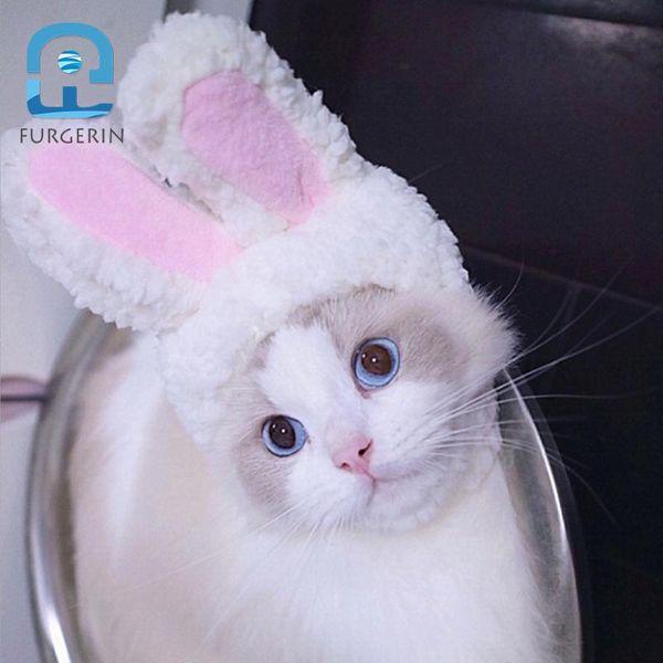 cat costumes furgerin hat winter cap pet costume cosplay dog hats accessories for small dogs year party
cat costumes furgerin hat winter cap pet costume cosplay dog hats accessories for small dogs year party
