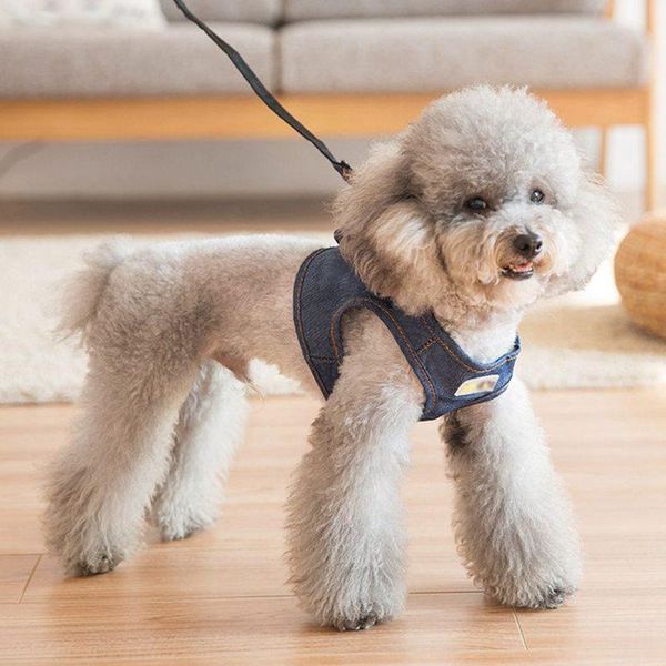dog collars & leashes fashion pet vest for harness leash set jean small medium cat blue clothes supplies s m l xl
dog collars & leashes fashion pet vest for harness leash set jean small medium cat blue clothes supplies s m l xl