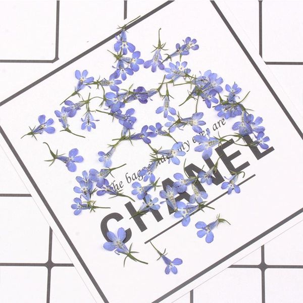 decorative flowers & wreaths liu bili flower head dried pressed diy handmade glue mobile phone shell aroma candle material
decorative flowers & wreaths liu bili flower head dried pressed diy handmade glue mobile phone shell aroma candle material