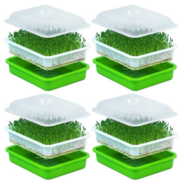 planters & pots 4x seed sprouter tray with lid bpa bean sprout grower sprouting seeds tray, dirt way and big capacity
planters & pots 4x seed sprouter tray with lid bpa bean sprout grower sprouting seeds tray, dirt way and big capacity