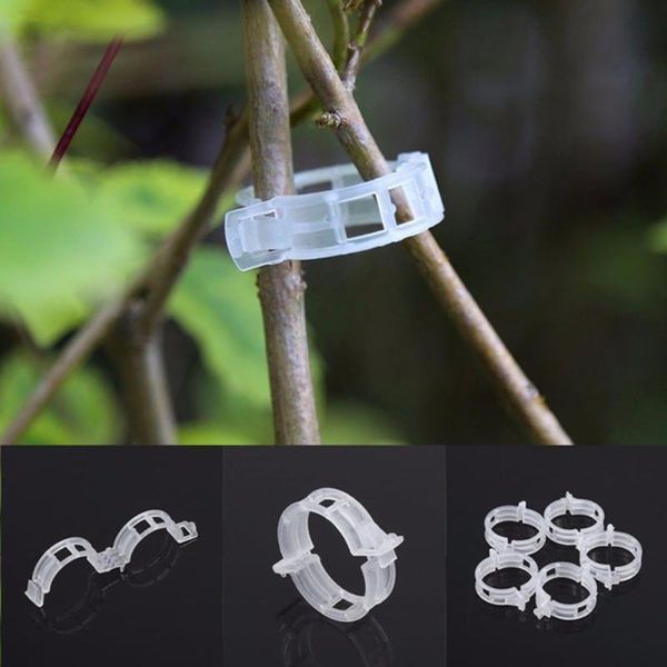other garden supplies 100pcs plant vines support clips tomato stem vegetable fixing clip greenhouse fruite tied buckle lashing hook fixed
other garden supplies 100pcs plant vines support clips tomato stem vegetable fixing clip greenhouse fruite tied buckle lashing hook fixed