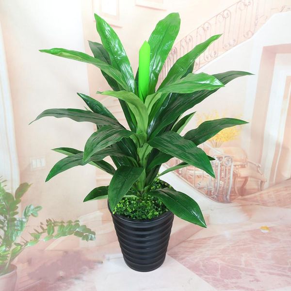 decorative flowers & wreaths 70cm green brazilian tree plantas artificiales aesthetic room decor bonsai garden fake plants flores home
decorative flowers & wreaths 70cm green brazilian tree plantas artificiales aesthetic room decor bonsai garden fake plants flores home