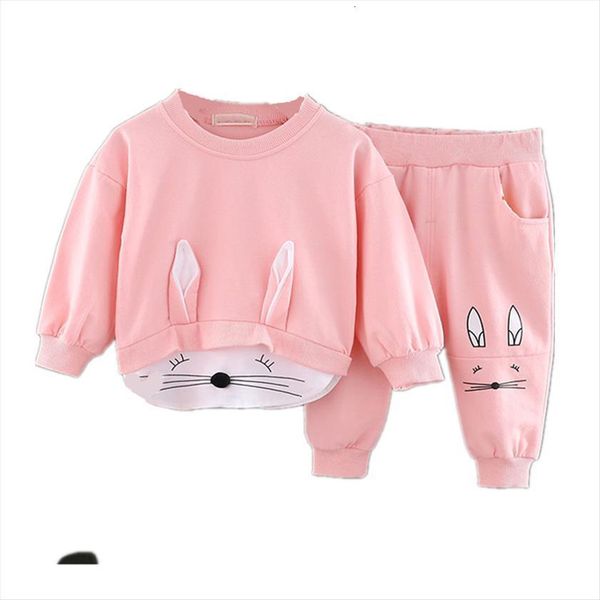 spring autumn children clothing newborn girls suit sweater long pants 2pcs toddler clothes kids tracksuit sets, White
spring autumn children clothing newborn girls suit sweater long pants 2pcs toddler clothes kids tracksuit sets, White