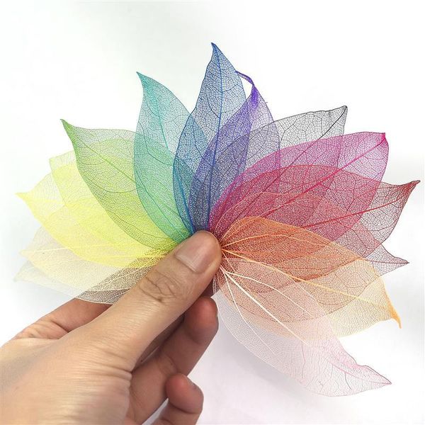 decorative flowers & wreaths 100pcs/lot natural dried vein leaf dry leaves scrapbooking decoration for diy handmade materials wedding party
decorative flowers & wreaths 100pcs/lot natural dried vein leaf dry leaves scrapbooking decoration for diy handmade materials wedding party