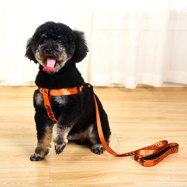 dog collars & leashes orange chest strap style outdoor leisure traction rope metal buckle material is very sturdy and medium size perro chih
dog collars & leashes orange chest strap style outdoor leisure traction rope metal buckle material is very sturdy and medium size perro chih