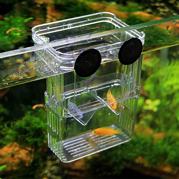 decorations multifunction fish breeding transparent isolation box incubator breeder tank double layers hatching aquarium accessory
decorations multifunction fish breeding transparent isolation box incubator breeder tank double layers hatching aquarium accessory
