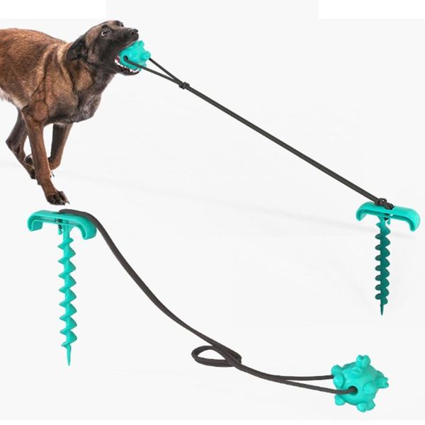 cat collars & leads chain for camping backyard dog tie out cable and sturdy stake chew toy
cat collars & leads chain for camping backyard dog tie out cable and sturdy stake chew toy