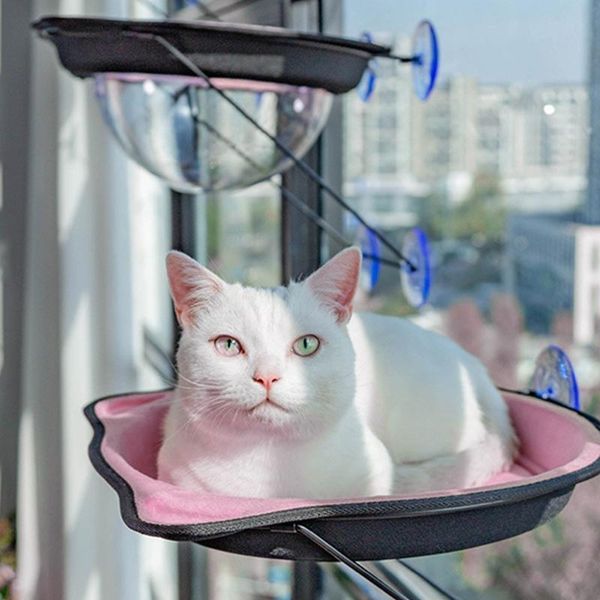 cats hammock resting seat space saving window mounted perches kitten hanging bed transparent cat beds & furniture
cats hammock resting seat space saving window mounted perches kitten hanging bed transparent cat beds & furniture