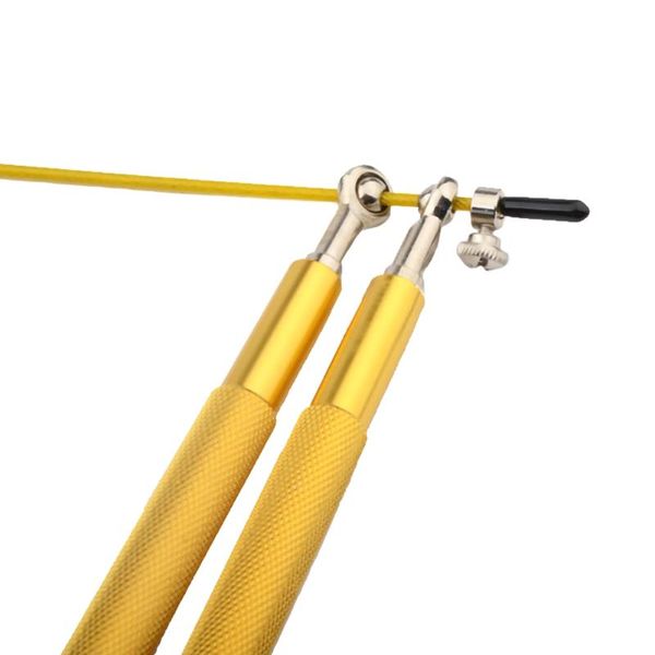 adjustable high speed steel jump rope double bearing gym children exercise ropes
adjustable high speed steel jump rope double bearing gym children exercise ropes