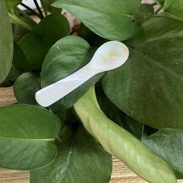 Creative Personality Roe Mask Coffee Spoon Small Pressure Paint, El Simple Unique Kitchen Utensils 7cm Crew Seashell Disposable Flatware
Creative Personality Roe Mask Coffee Spoon Small Pressure Paint, El Simple Unique Kitchen Utensils 7cm Crew Seashell Disposable Flatware