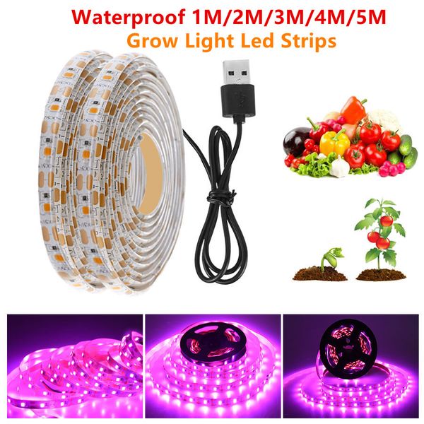 waterproof usb 5v grow light full spectrm led strips 1m 2m 3m 4m 5m smd 2835leds red blue plant lamp bars for indoor vegetables
waterproof usb 5v grow light full spectrm led strips 1m 2m 3m 4m 5m smd 2835leds red blue plant lamp bars for indoor vegetables