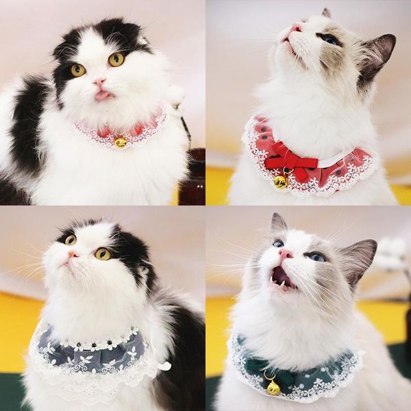 cat costumes pet accessories lace dog saliva towel lovely puppet long haired teddy small medium good-looking products
cat costumes pet accessories lace dog saliva towel lovely puppet long haired teddy small medium good-looking products