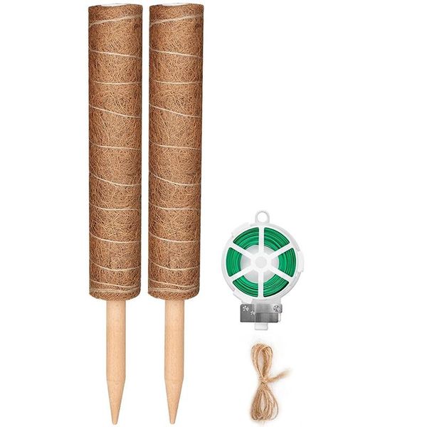 other garden supplies coir totem moss pole for plant support coco sticks with 65 feet twist tie climbing indoor plants (2 x 16in)
other garden supplies coir totem moss pole for plant support coco sticks with 65 feet twist tie climbing indoor plants (2 x 16in)