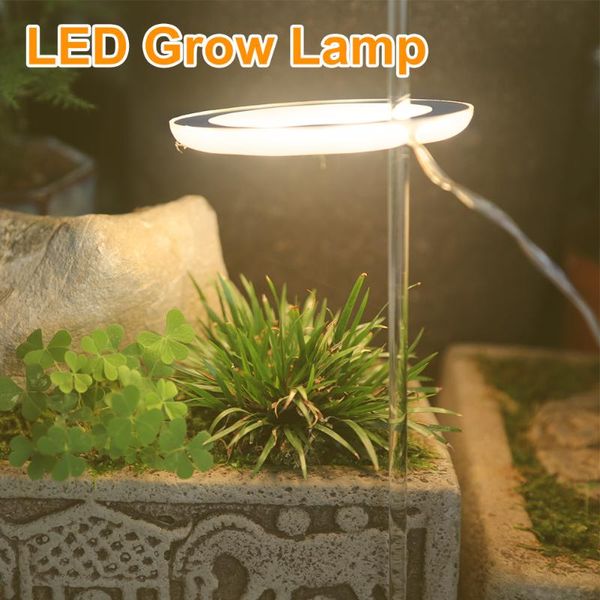 grow lights 5v led usb plant light for succulent full spectrum phyto lamp indoor flower greenhouse seedling lighting
grow lights 5v led usb plant light for succulent full spectrum phyto lamp indoor flower greenhouse seedling lighting