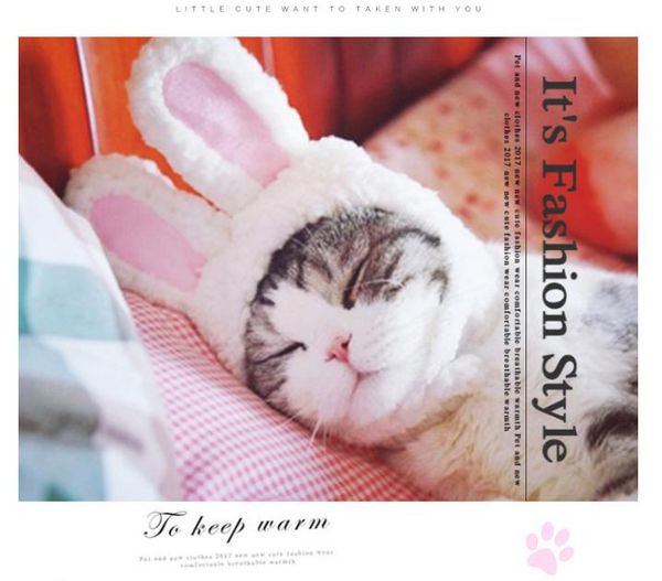 dog apparel funny pet cat cap costume warm hat year party christmas cosplay 1pc
dog apparel funny pet cat cap costume warm hat year party christmas cosplay 1pc