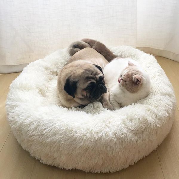 small animal supplies four seasons universal warm cat litter kennel pet bed size dog mat
small animal supplies four seasons universal warm cat litter kennel pet bed size dog mat