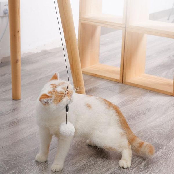 electronic motion cat toy smart pet ball teaser yo-yo lifting electric flutter rotating interactive puzzle toys
electronic motion cat toy smart pet ball teaser yo-yo lifting electric flutter rotating interactive puzzle toys