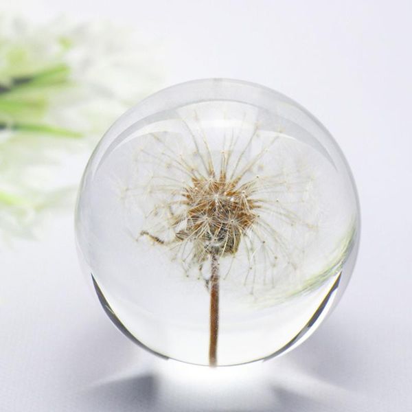 novelty items transparent resin dandelion crystal ball glass ornaments creative decoration crafts deskmodern plants small
novelty items transparent resin dandelion crystal ball glass ornaments creative decoration crafts deskmodern plants small