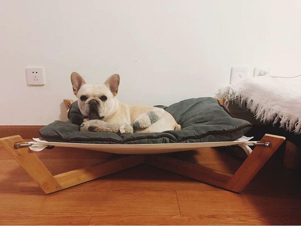 cat beds & furniture dog nest mattress pet solid wood bed hammock small and medium dogs four seasons universal removable washable
cat beds & furniture dog nest mattress pet solid wood bed hammock small and medium dogs four seasons universal removable washable