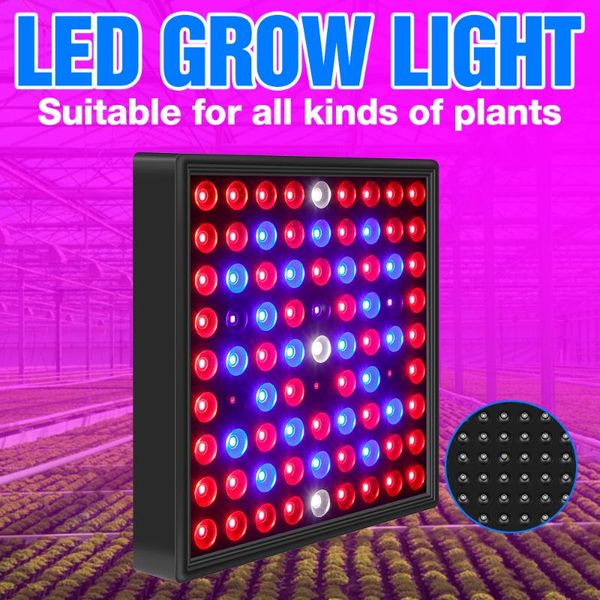 indoor plant led grow lamp full spectrum seedling fito light 50w 30w flower hydroponics growing panel for phyto seeds lights
indoor plant led grow lamp full spectrum seedling fito light 50w 30w flower hydroponics growing panel for phyto seeds lights