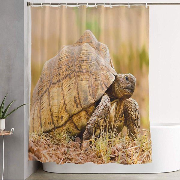 shower curtain tortoise amazing turtle animals animal wildlife fashionable big fashion reptile slow tortiose wild home bathroom
shower curtain tortoise amazing turtle animals animal wildlife fashionable big fashion reptile slow tortiose wild home bathroom