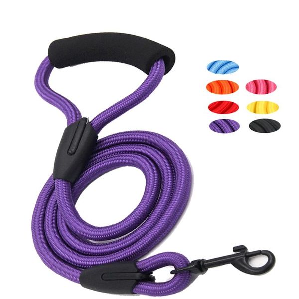 cat collars & leads dog leash running walk train for large small pets leashes elastic reflective safety rope tenacity traction pet supplies
cat collars & leads dog leash running walk train for large small pets leashes elastic reflective safety rope tenacity traction pet supplies