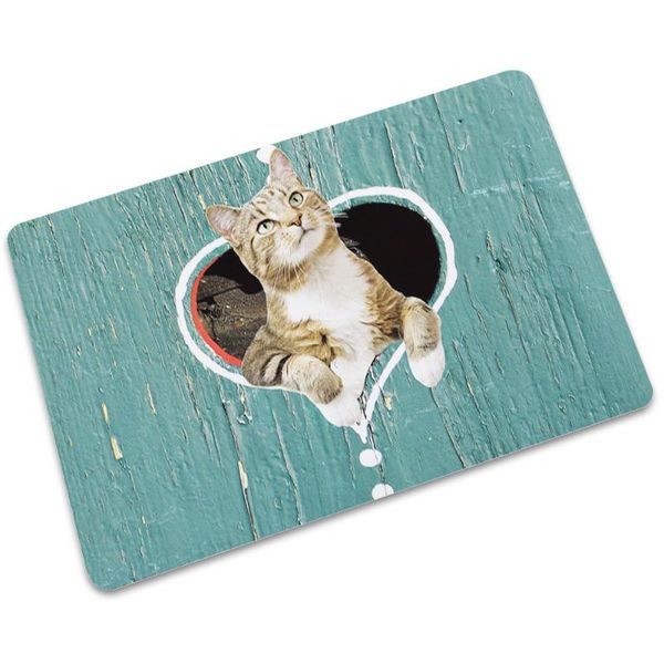 cute cat animal home bedroom kitchen living room bathroom aisle floor mat doormat door carpets
cute cat animal home bedroom kitchen living room bathroom aisle floor mat doormat door carpets