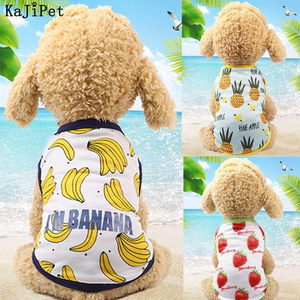 dog apparel fruit clothes for small dogs tshirt cute pet pets clothing chihuahua vest summer
dog apparel fruit clothes for small dogs tshirt cute pet pets clothing chihuahua vest summer