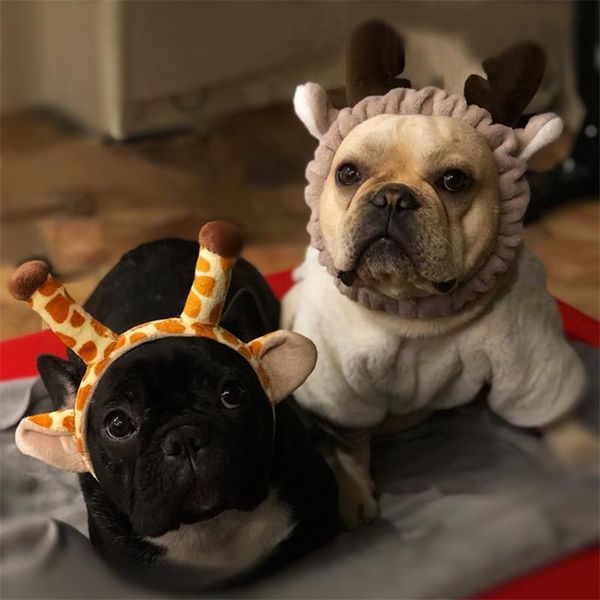 dog apparel 2021 lovely pet hat cats headdresses for christmas pug dogs deer cosplay headgear headwear hats gorro perro
dog apparel 2021 lovely pet hat cats headdresses for christmas pug dogs deer cosplay headgear headwear hats gorro perro