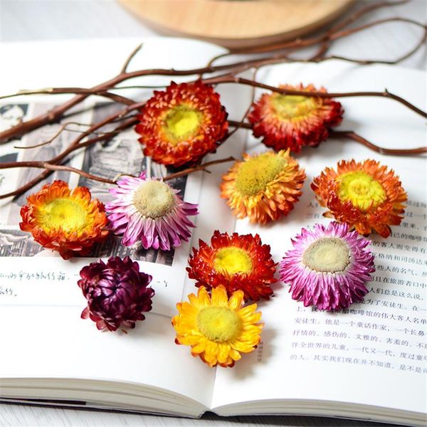 can colorful real dried flower plant for candle epoxy resin pendant necklace jewelry making craft diy accessories decorative fl flowers & wr
can colorful real dried flower plant for candle epoxy resin pendant necklace jewelry making craft diy accessories decorative fl flowers & wr