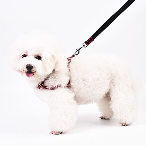 teddy bear small dog walking rope chain red checkered cht strap traction pet suppli
teddy bear small dog walking rope chain red checkered cht strap traction pet suppli