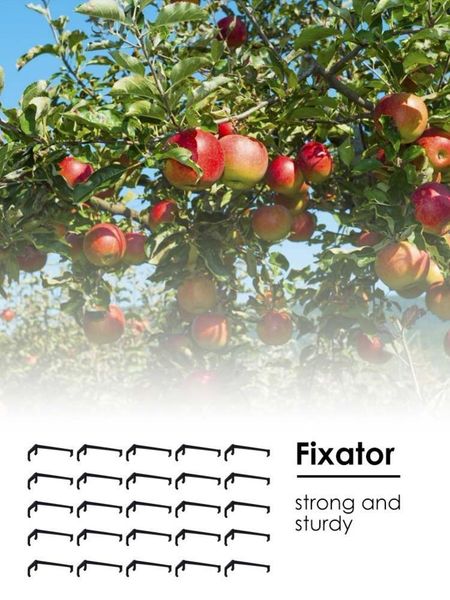 other garden supplies 30/50 pcs fruit tree branches holder branch spreader support frame for strong fixe
other garden supplies 30/50 pcs fruit tree branches holder branch spreader support frame for strong fixe