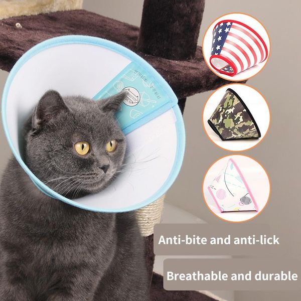 cute pets protective elizabethan collar for dog cats wound healing protection animal collars anti-bite neck cone recovery circle cat & leads
cute pets protective elizabethan collar for dog cats wound healing protection animal collars anti-bite neck cone recovery circle cat & leads