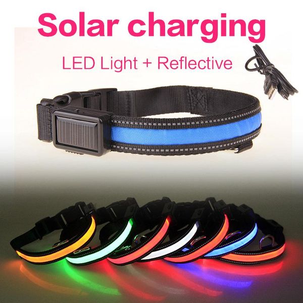 dog collars & leashes solar recargable collar led light night safety reflective perro luz buckle for dogs usb
dog collars & leashes solar recargable collar led light night safety reflective perro luz buckle for dogs usb