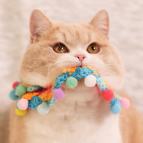 cat collars & leads cute pet dog wool knit collar saliva towel bib po accessories necklace
cat collars & leads cute pet dog wool knit collar saliva towel bib po accessories necklace