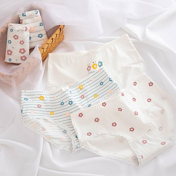 girly panties girl underwear child's underpants briefs short lady older children xwh-8026-6p, Camo
girly panties girl underwear child's underpants briefs short lady older children xwh-8026-6p, Camo