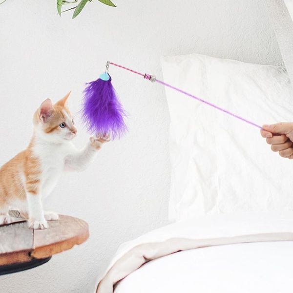 cat toys little fairy feather crystal tube bell funny stick cute outdoor interactive kitten toy
cat toys little fairy feather crystal tube bell funny stick cute outdoor interactive kitten toy