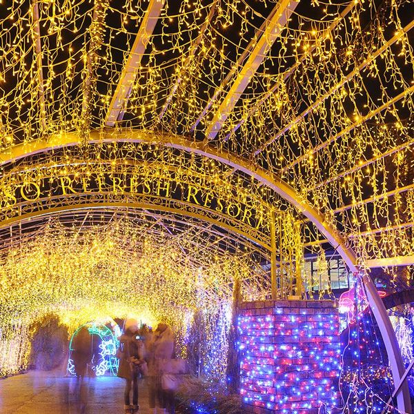 220v 110v 3.5m 5m 8mode modeling down 0.3m 0.4m 0.5m outdoor waterproof ip44 christmas garden decration led ice string light strings 
220v 110v 3.5m 5m 8mode modeling down 0.3m 0.4m 0.5m outdoor waterproof ip44 christmas garden decration led ice string light strings