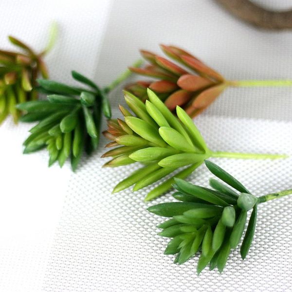artifical plastic succulent plant cactus echeveria flower home office decor gift decorative flowers & wreaths
artifical plastic succulent plant cactus echeveria flower home office decor gift decorative flowers & wreaths
