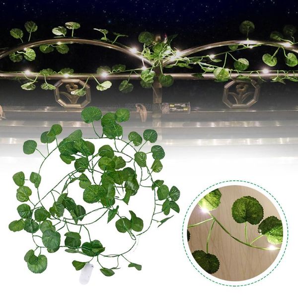 strings led artificial begonia leaf rattan string lights home decoration simulation flower atmosphere
strings led artificial begonia leaf rattan string lights home decoration simulation flower atmosphere