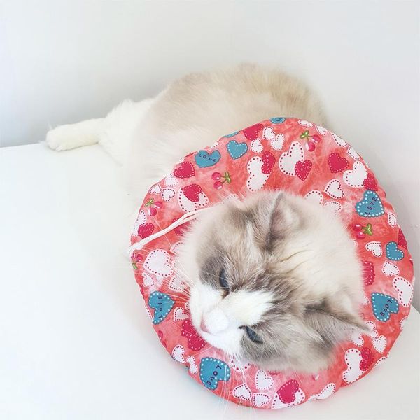 cat collars & leads printed pet elizabethan collar soft cotton dog adjustable wound healing e-collar prevent bite neck ring protection
cat collars & leads printed pet elizabethan collar soft cotton dog adjustable wound healing e-collar prevent bite neck ring protection