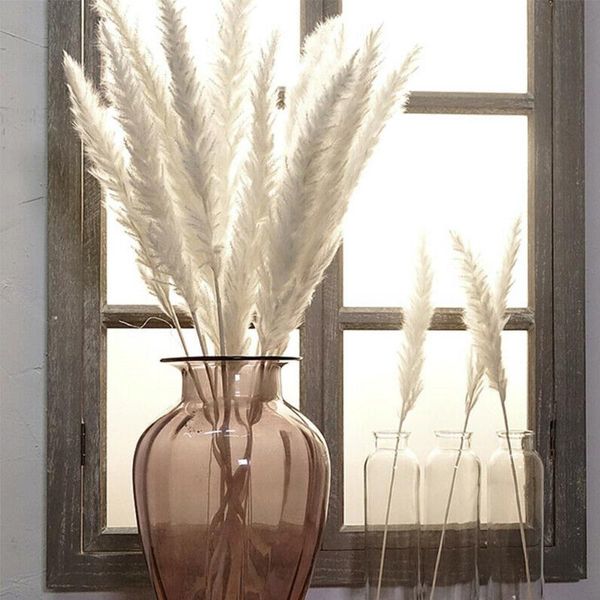decorative flowers & wreaths 15pcs natural dried reed white small pampas grass phragmites communis flower bunch wedding party home decoratio
decorative flowers & wreaths 15pcs natural dried reed white small pampas grass phragmites communis flower bunch wedding party home decoratio