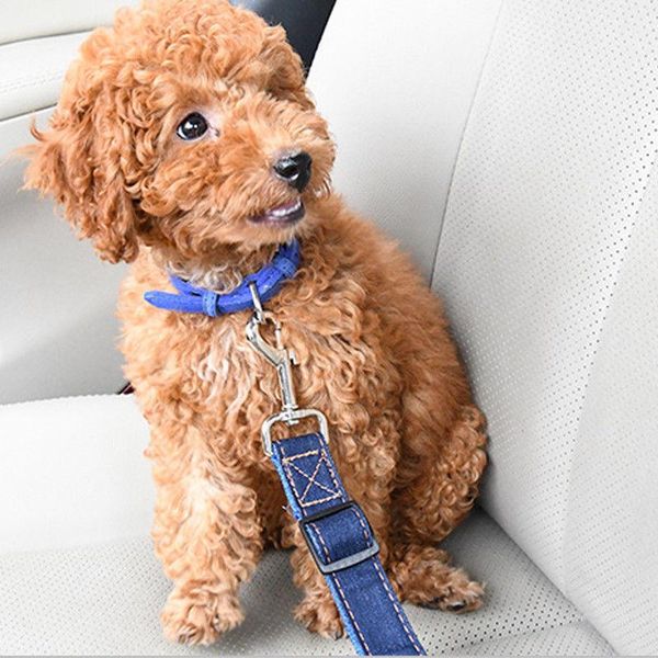 vehicle car pet dog seat belt puppy seatbelt harness lead clip supply adjustable safety lever auto traction products collars & leashes
vehicle car pet dog seat belt puppy seatbelt harness lead clip supply adjustable safety lever auto traction products collars & leashes