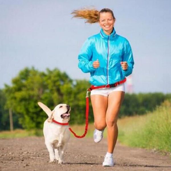 cat collars & leads nylon dog training leashes walking harness collar hands adjustable waist pull rope for reflective leash
cat collars & leads nylon dog training leashes walking harness collar hands adjustable waist pull rope for reflective leash
