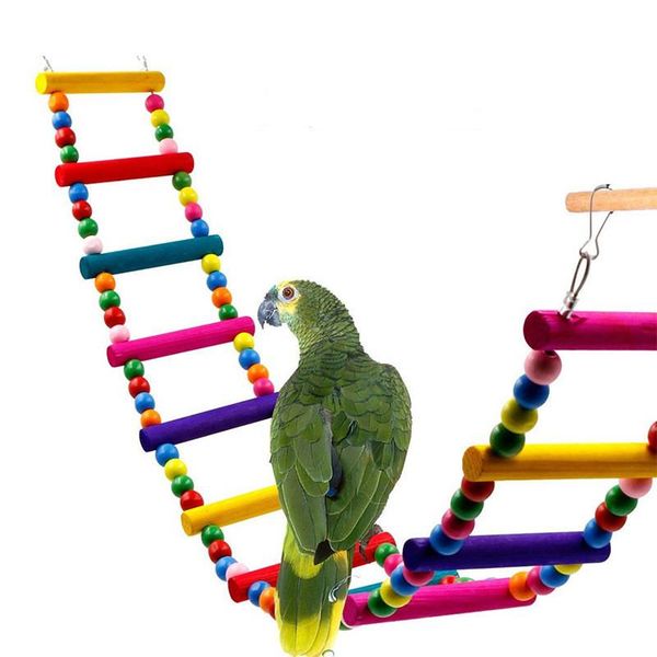 other bird supplies wooden parrot stand colorful bead ladder toy wholesale natural wood perches accessories cockatiel
other bird supplies wooden parrot stand colorful bead ladder toy wholesale natural wood perches accessories cockatiel